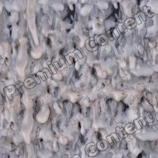 Photo High Resolution Seamless Tree Wax Texture 0001